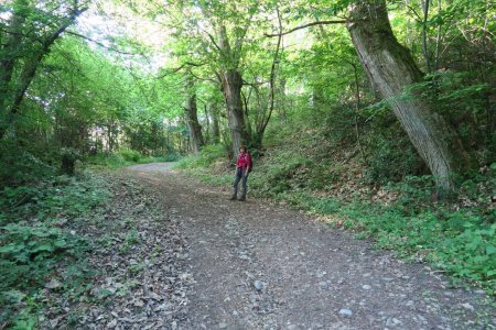 Direction La Niverdière