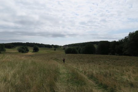 Dans la prairie de Retord