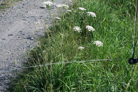 Hyper dangereux ce fil de fer en travers du chemin !