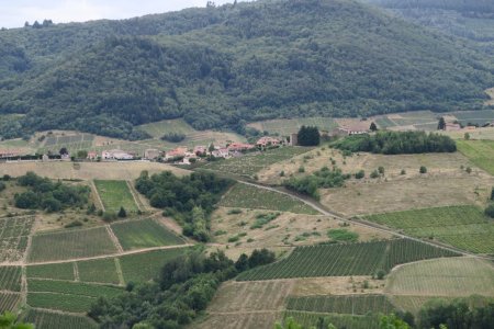 Vaux-en-Beaujolais