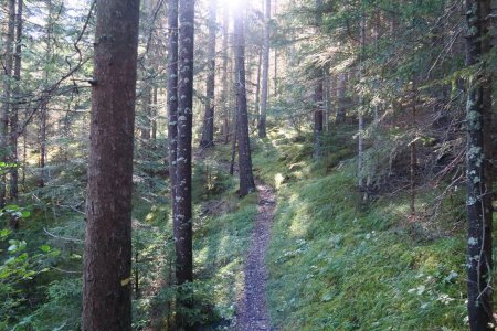 Le sentier passe sous La Mourière