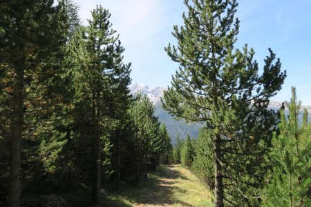 Descente vers Le Queyras