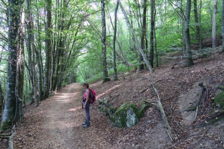 Direction Chapelle de Châteauvieux