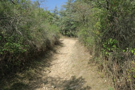 Montée vers le Belvédère de Piragoy