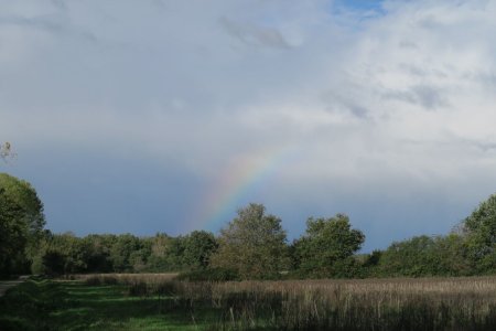 Soleil et pluie