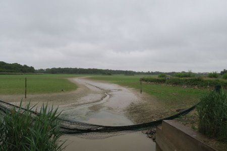 Etang Moulin