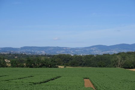 Monts du Beaujolais