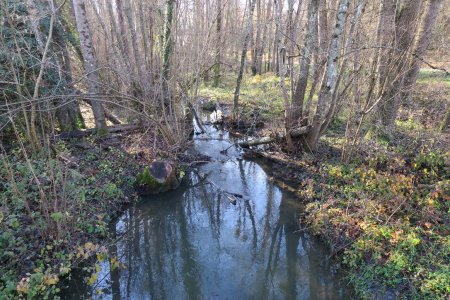 Le Ruisseau d’Alix