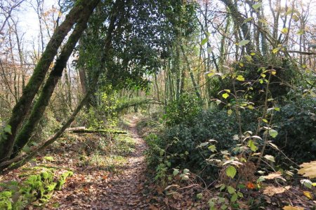 Descente vers La Chapelle