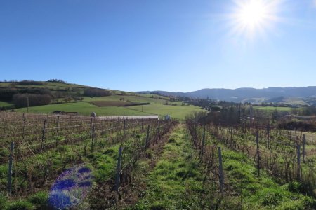 Regard vers Sourcieux-les-Mines