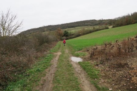 Direction le Château de Courbeville