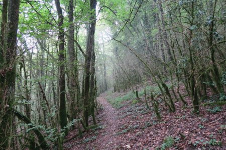 Direction Poncieux, en passant sous le Mont