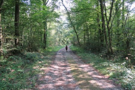 Direction l’Étang des Gouttes