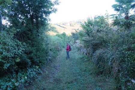 Descente vers le Bois d’Oingt