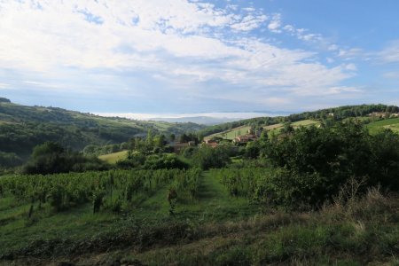 Le Layet d’En Bas et les Monts du Lyonnais