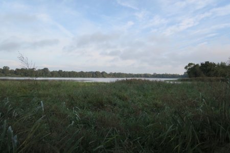 Etang de Monthieux