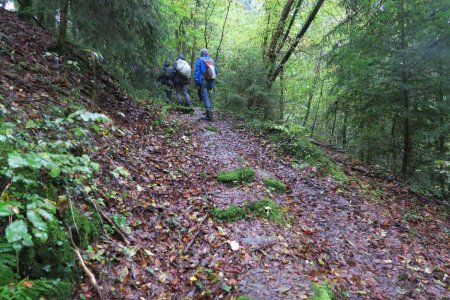 Retour à Evires