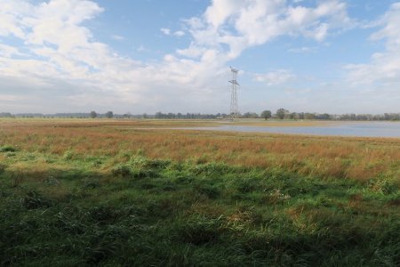 Etang des Ardilloux