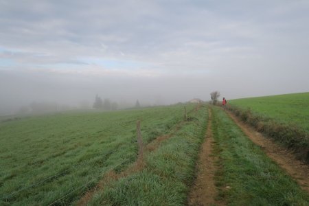 Entre brouillard et soleil