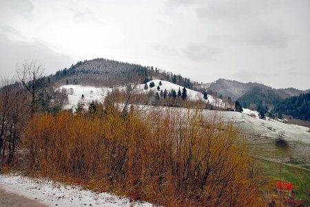 Alentours de Münstertal.