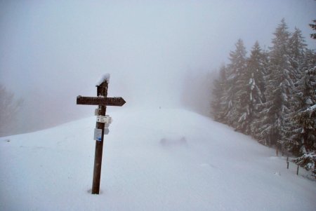 Sortie de forêt et arrivée sur la crête du Belchen.