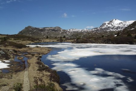 Chemins bien trempés