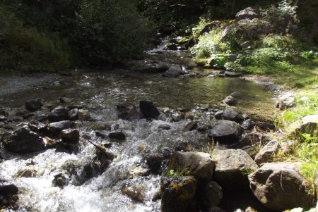 Le beau torrent de Prentiq