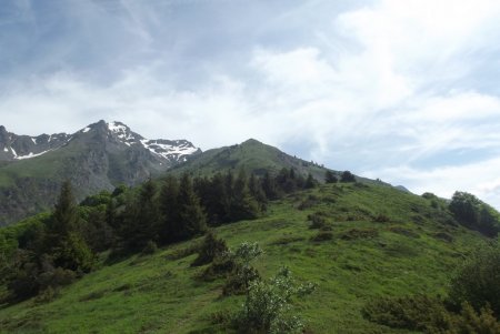 Vers le Sommet de la Cavale et le Coiro