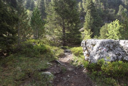 Départ du vieux sentier