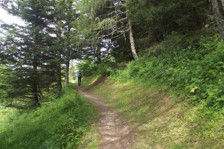 Le magnifique sentier Gobert