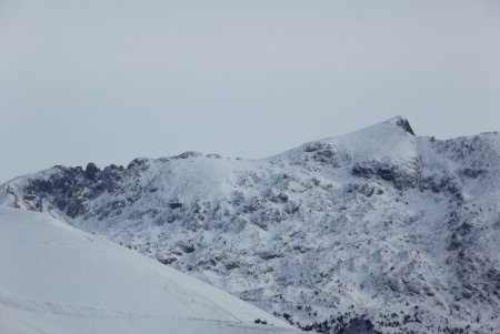 Zoom sur l’Oreille du Loup et le Tabor