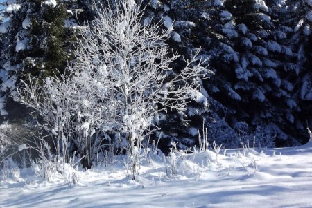 Parure d’hiver