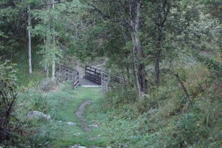 Passerelle sur le pont du Diable