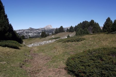 Dans la plaine de la Longue Fissolle, face au Grand Veymont