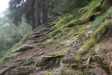 Sentier de descente