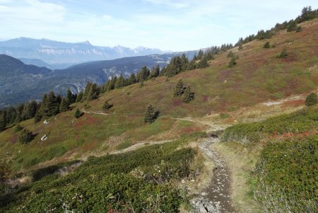 Descente dans les pentes colorées