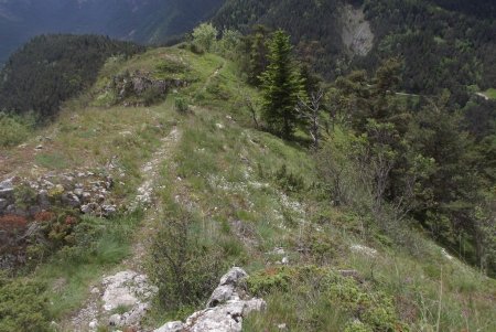 Belle trace en crête