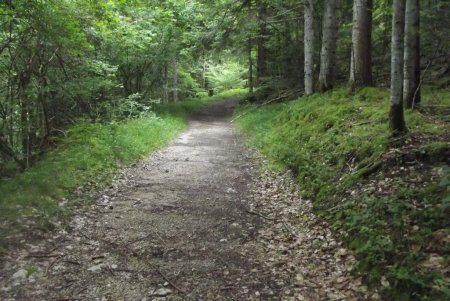 Le chemin au départ