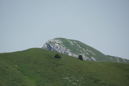 Zoom sur la Grande Sure et sa croix