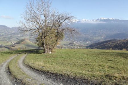 Chemin descendant vers Mont-Rolland