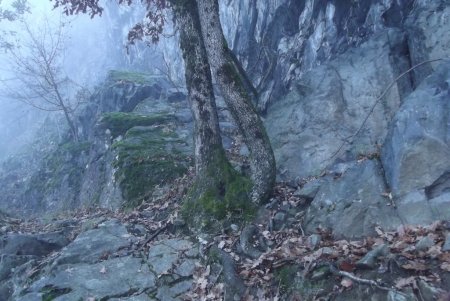 Passage dans des barres rocheuses 