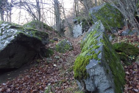 Blocs erratiques sur le sentier