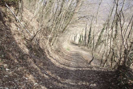 Chemin des Vignes