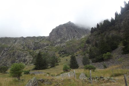 Au-dessus de la cabane