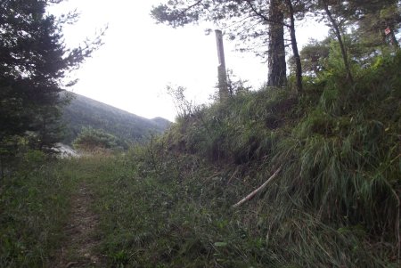 Arrivée au col de Papavet