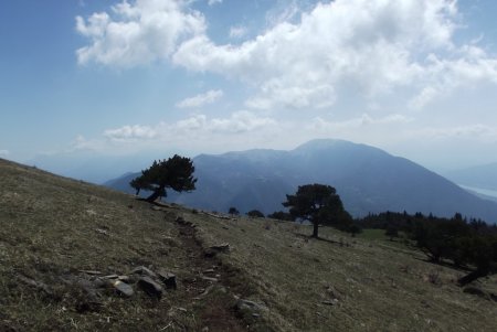 Vers Les Pins et le Senépy