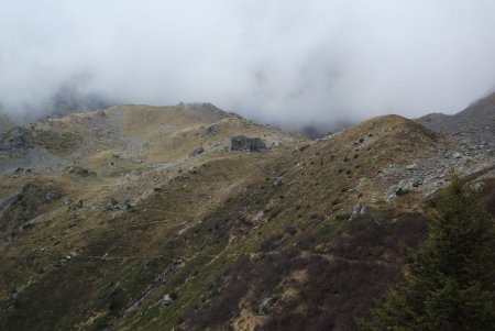 Vers le habert de la Pierre