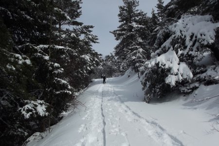 Dans la montée