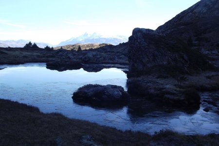 Reflets glacés et Meije