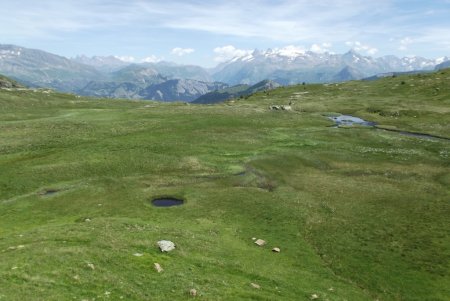 La prairie en allant vers la Jasse